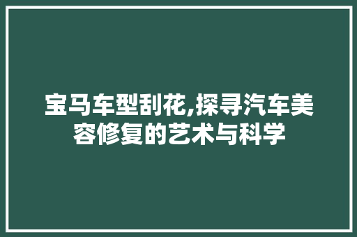 宝马车型刮花,探寻汽车美容修复的艺术与科学