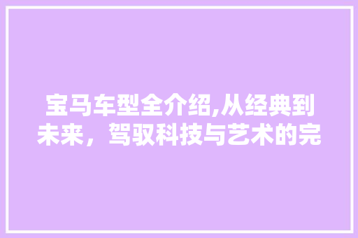 宝马车型全介绍,从经典到未来，驾驭科技与艺术的完美融合