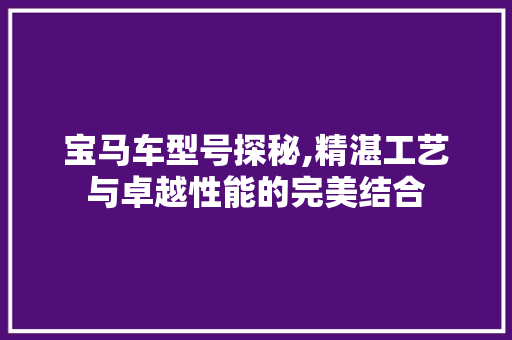 宝马车型号探秘,精湛工艺与卓越性能的完美结合