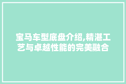 宝马车型底盘介绍,精湛工艺与卓越性能的完美融合