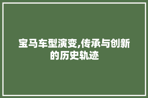 宝马车型演变,传承与创新的历史轨迹