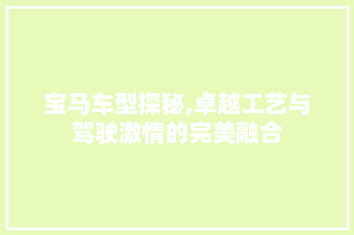 宝马车型探秘,卓越工艺与驾驶激情的完美融合