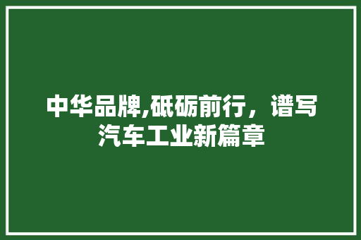 中华品牌,砥砺前行，谱写汽车工业新篇章 变速箱配件