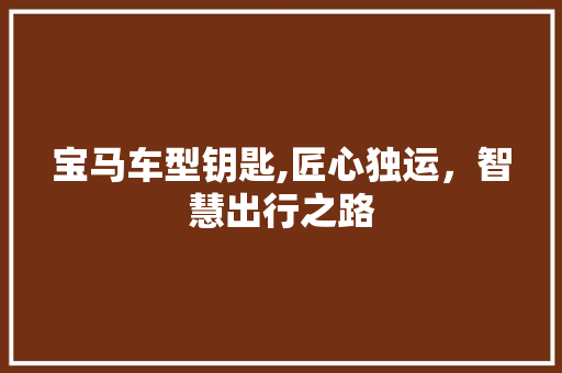 宝马车型钥匙,匠心独运，智慧出行之路