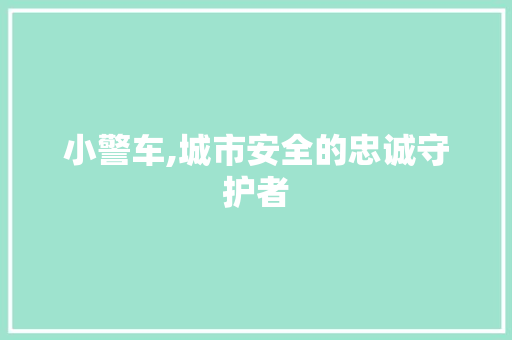 小警车,城市安全的忠诚守护者
