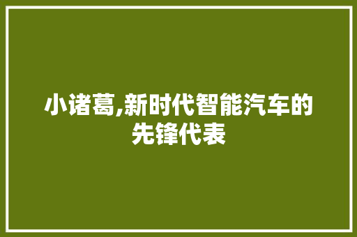 小诸葛,新时代智能汽车的先锋代表