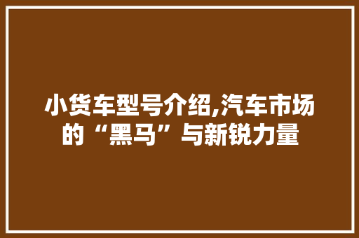 小货车型号介绍,汽车市场的“黑马”与新锐力量