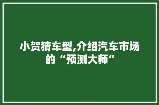 小贺猜车型,介绍汽车市场的“预测大师”