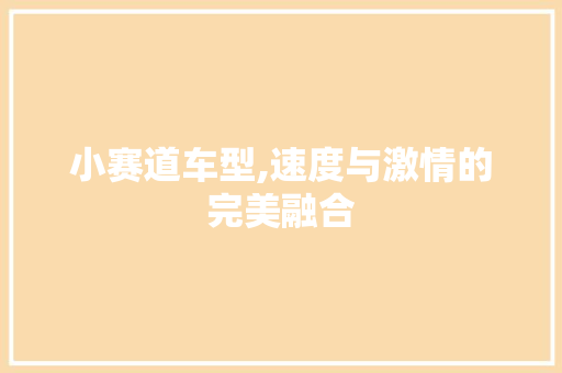 小赛道车型,速度与激情的完美融合