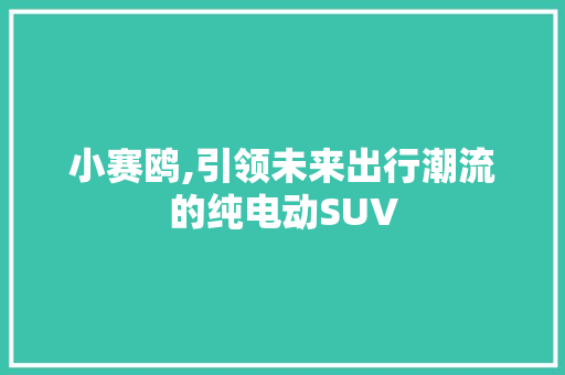 小赛鸥,引领未来出行潮流的纯电动SUV