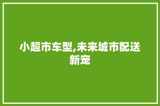 小超市车型,未来城市配送新宠