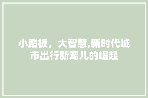 小踏板，大智慧,新时代城市出行新宠儿的崛起