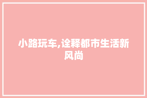 小路玩车,诠释都市生活新风尚