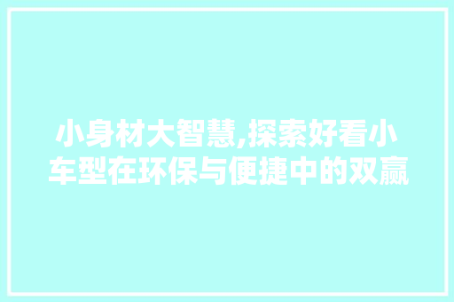 小身材大智慧,探索好看小车型在环保与便捷中的双赢之路