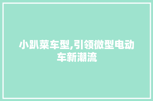 小趴菜车型,引领微型电动车新潮流