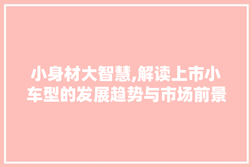 小身材大智慧,解读上市小车型的发展趋势与市场前景