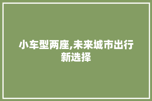 小车型两座,未来城市出行新选择