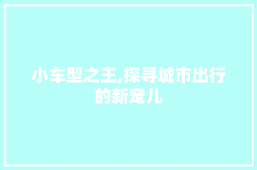 小车型之王,探寻城市出行的新宠儿
