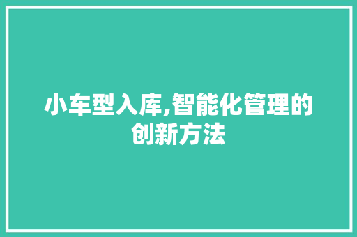 小车型入库,智能化管理的创新方法