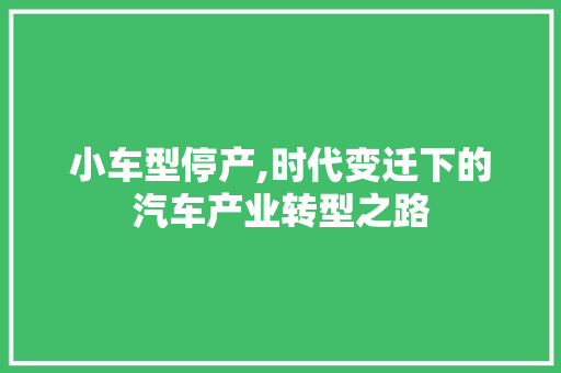 小车型停产,时代变迁下的汽车产业转型之路