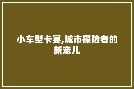 小车型卡宴,城市探险者的新宠儿