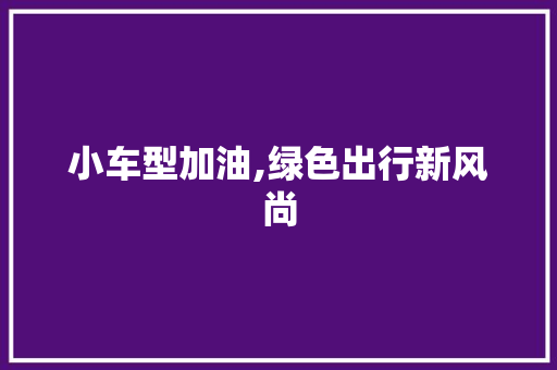 小车型加油,绿色出行新风尚