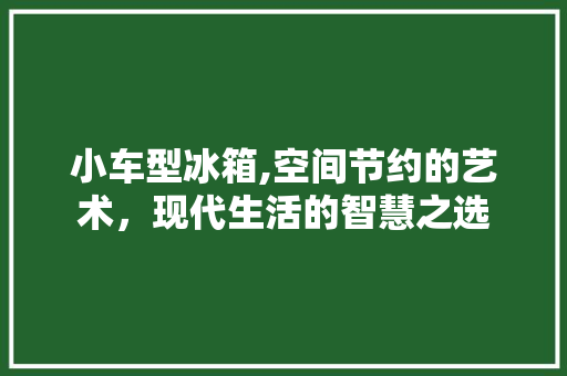 小车型冰箱,空间节约的艺术，现代生活的智慧之选