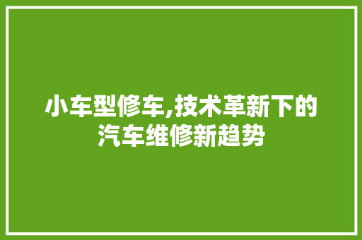 小车型修车,技术革新下的汽车维修新趋势