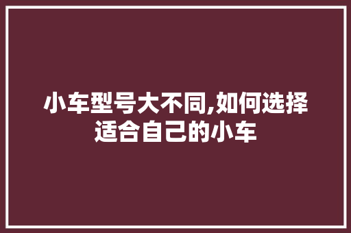 小车型号大不同,如何选择适合自己的小车