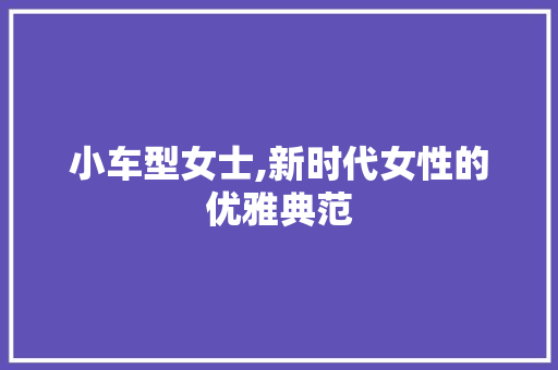 小车型女士,新时代女性的优雅典范