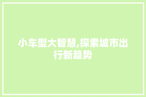 小车型大智慧,探索城市出行新趋势