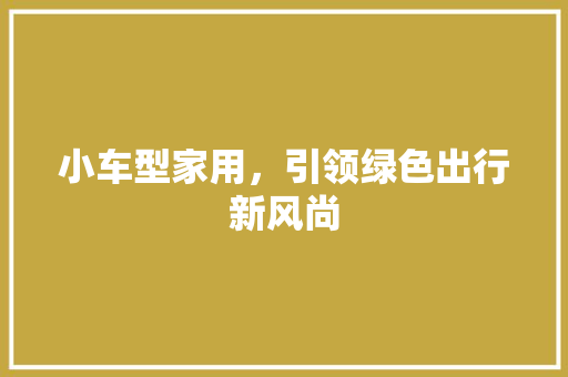 小车型家用，引领绿色出行新风尚