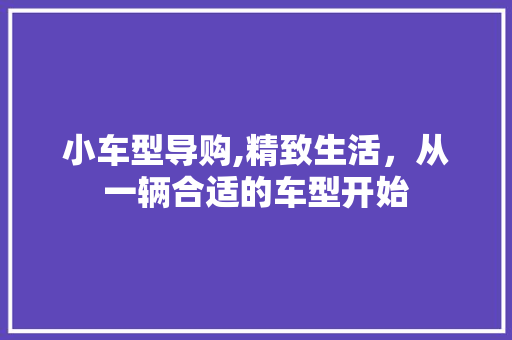 小车型导购,精致生活，从一辆合适的车型开始