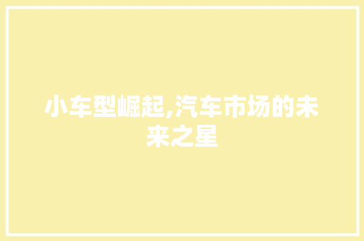 小车型崛起,汽车市场的未来之星