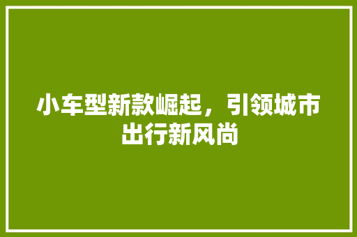 小车型新款崛起，引领城市出行新风尚