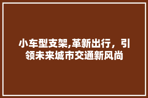 小车型支架,革新出行，引领未来城市交通新风尚