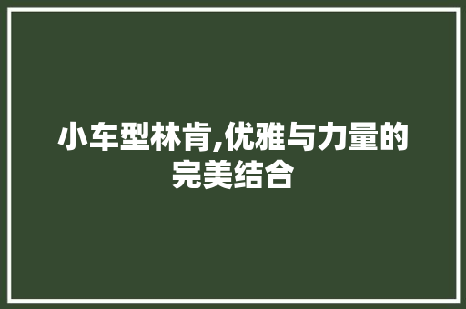 小车型林肯,优雅与力量的完美结合