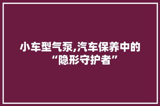 小车型气泵,汽车保养中的“隐形守护者”