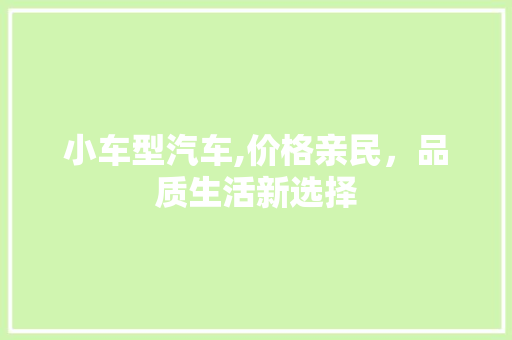 小车型汽车,价格亲民，品质生活新选择 变速箱配件