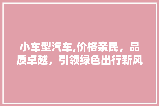 小车型汽车,价格亲民，品质卓越，引领绿色出行新风尚