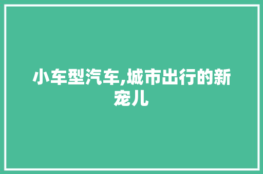 小车型汽车,城市出行的新宠儿