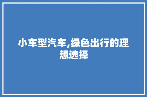 小车型汽车,绿色出行的理想选择 车身配件