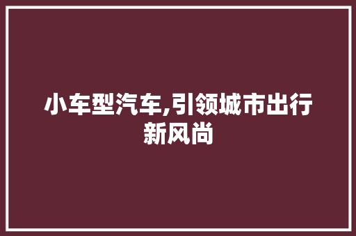 小车型汽车,引领城市出行新风尚