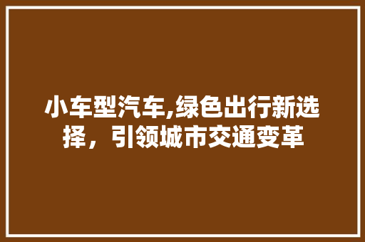 小车型汽车,绿色出行新选择，引领城市交通变革