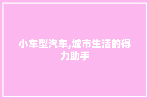 小车型汽车,城市生活的得力助手