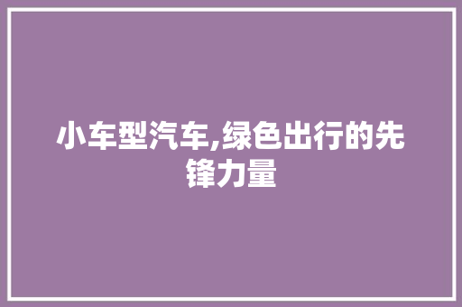 小车型汽车,绿色出行的先锋力量 新能源汽车