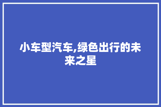 小车型汽车,绿色出行的未来之星