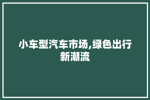 小车型汽车市场,绿色出行新潮流