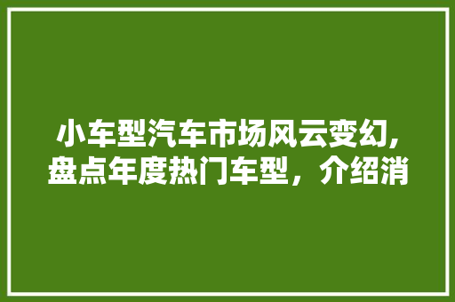 小车型汽车市场风云变幻,盘点年度热门车型，介绍消费者新宠