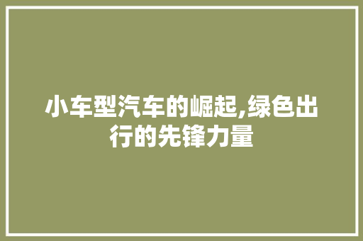 小车型汽车的崛起,绿色出行的先锋力量